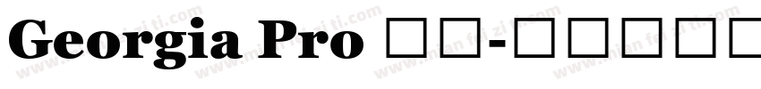 Georgia Pro 粗体字体转换
